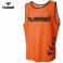 Hummel Training BIB