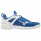 Mizuno Ghost Shadow