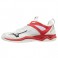 Mizuno Ghost Shadow