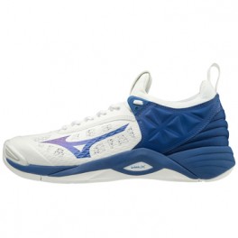 Mizuno Wave Momentum