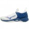 Mizuno Wave Momentum