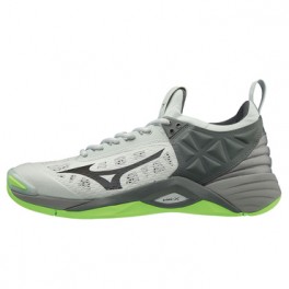 Mizuno Wave Momentum
