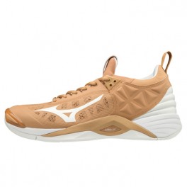 Mizuno Wave Momentum